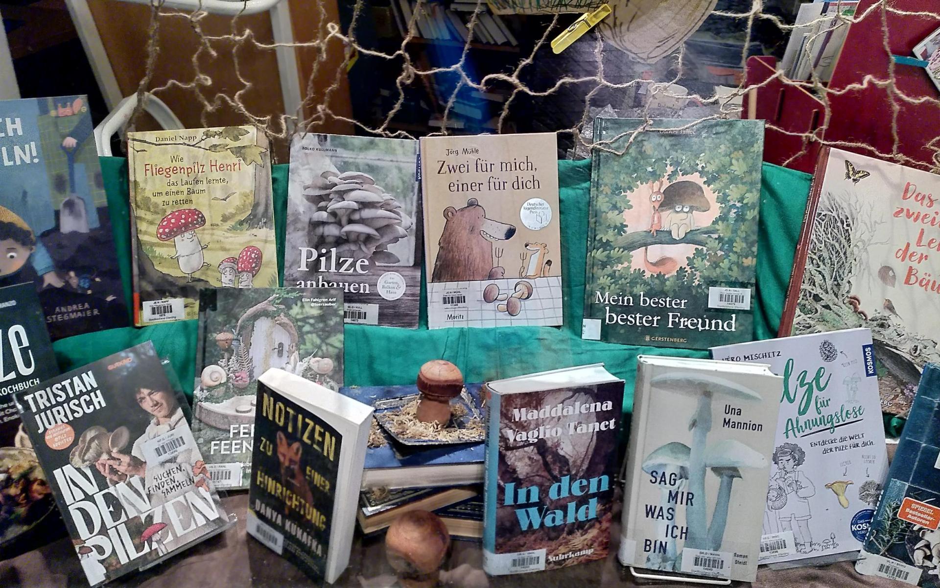 Es sprießen Pilze im Schaufenster!